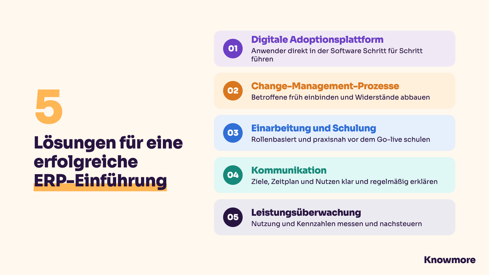 5 Lösungen für eine erfolgreiche ERP-Einführung