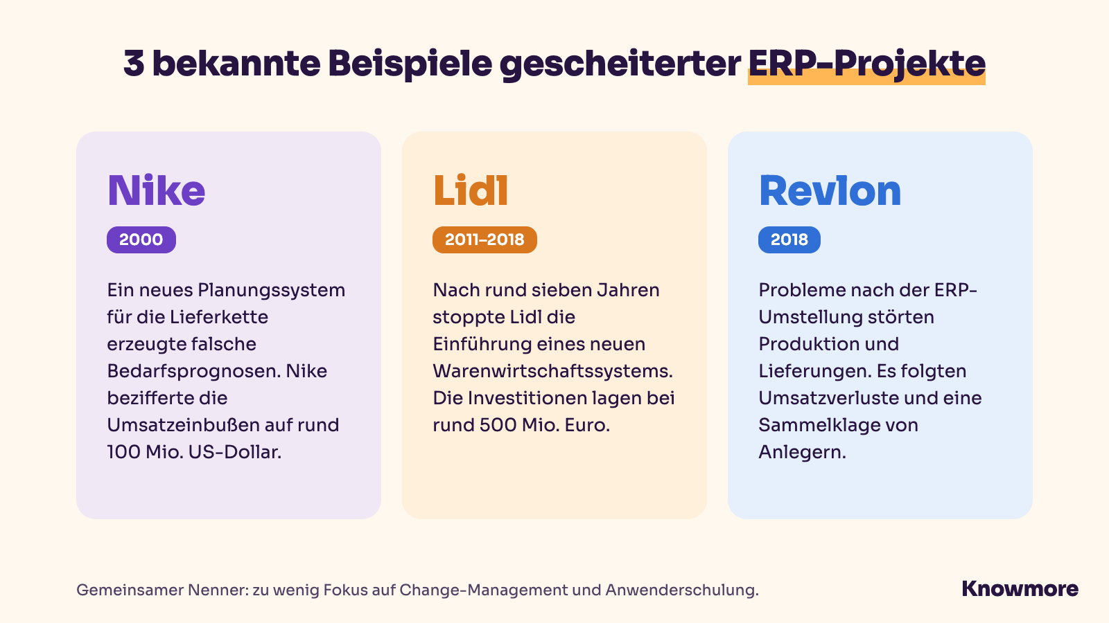 Bekannte Beispiele gescheiterter ERP-Projekte: Nike, Lidl und Revlon