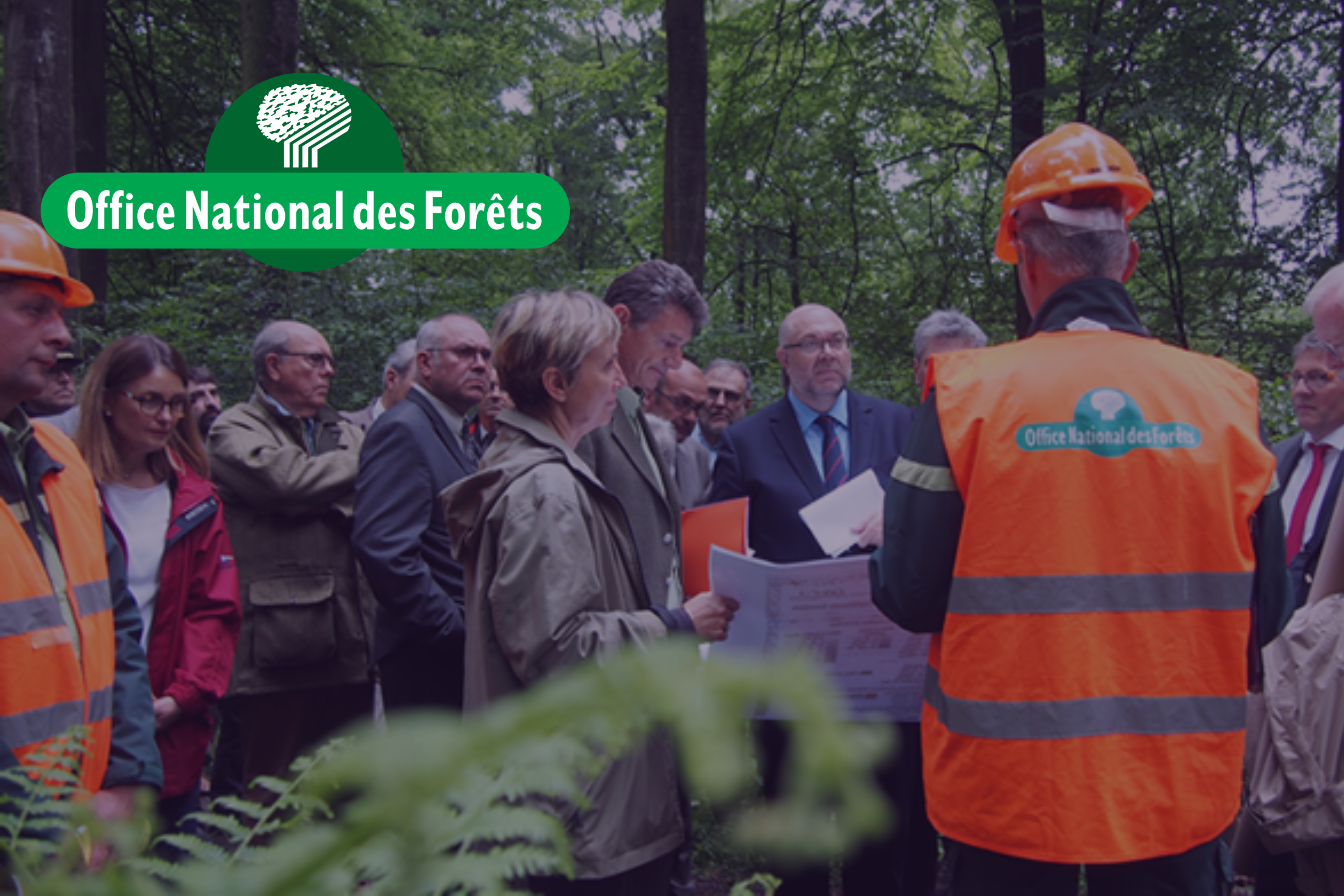 cover Office National des Forêts